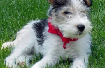 2008052236554_P5220006.jpg_w450